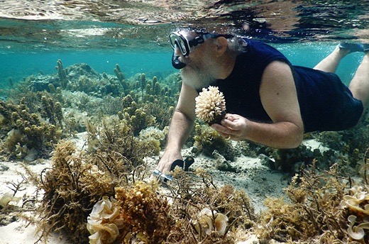 Corals for Conservation - Restoring Reefs in the South Pacific